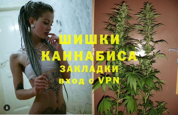 гидропоника Володарск
