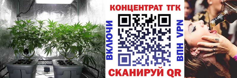 Купить закладки Мантурово Дистиллят ТГК Wax